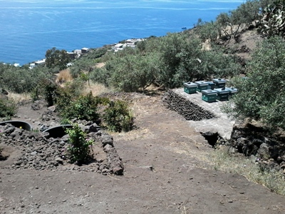 Isola di Stromboli, Ginostra, parte alta dell’alveo del Torrente Vestio, asportazione della vegetazione originaria e realizzazione di alveari (giugno 2016)