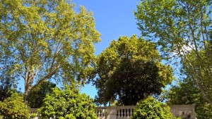 roma-giardino-pubblico-quirinale